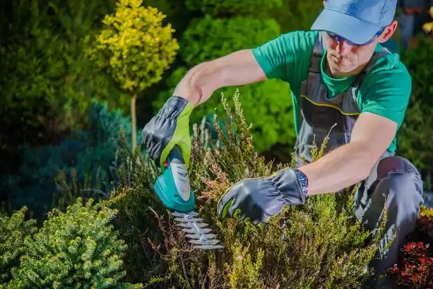 landscaping services Brookfield